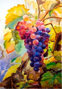 Weintraube in Rosa-lila-Tönen mit Weinlaub