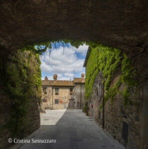Fotos, Castello Ginori di Querceto, Luftaufnahmen, Cristina Sannazzaro