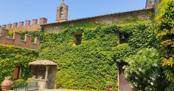 Schloss, Efeu, Querceto, Newsletter